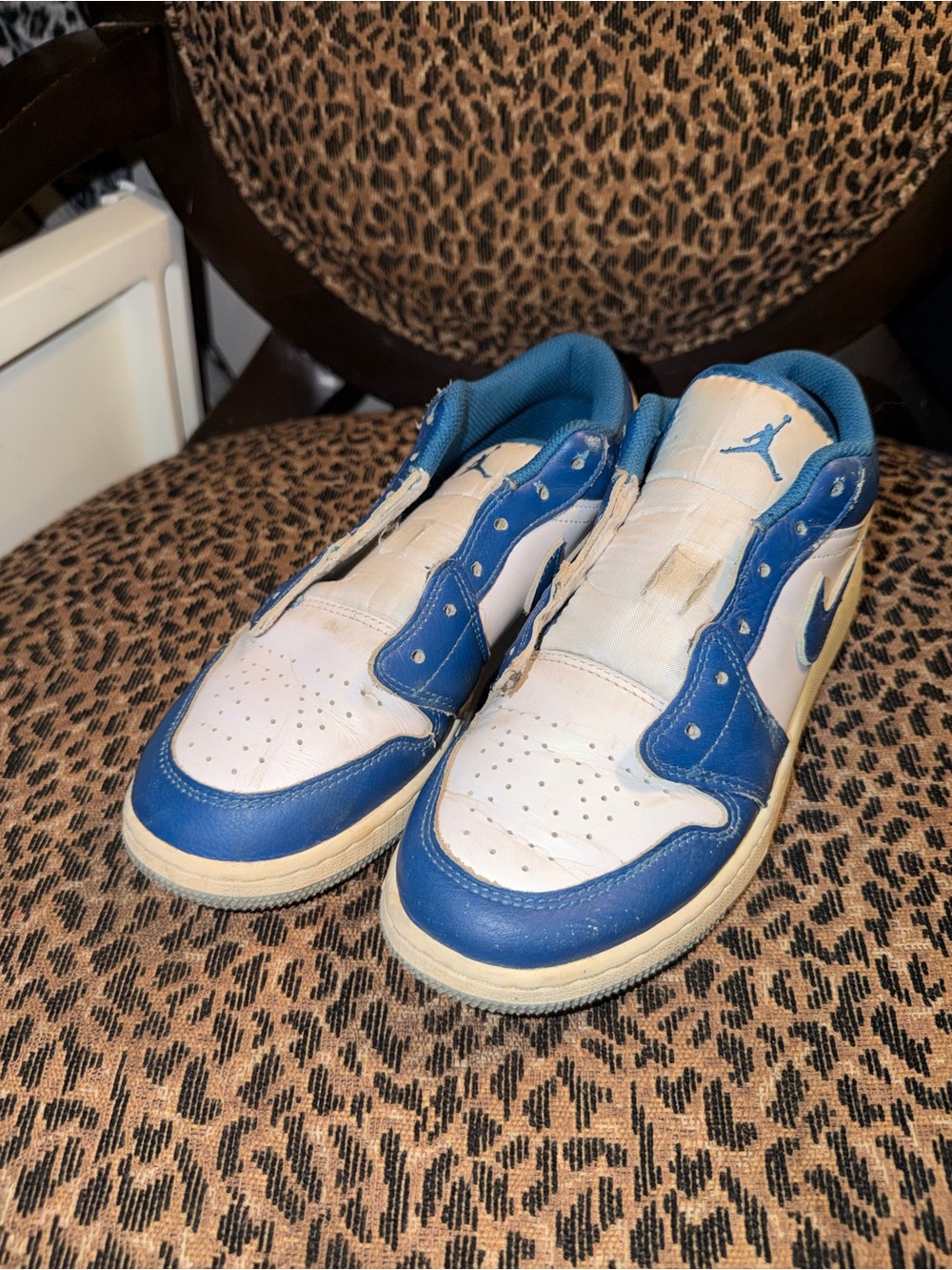 Nike White and Blue Low-Top Sneakers
